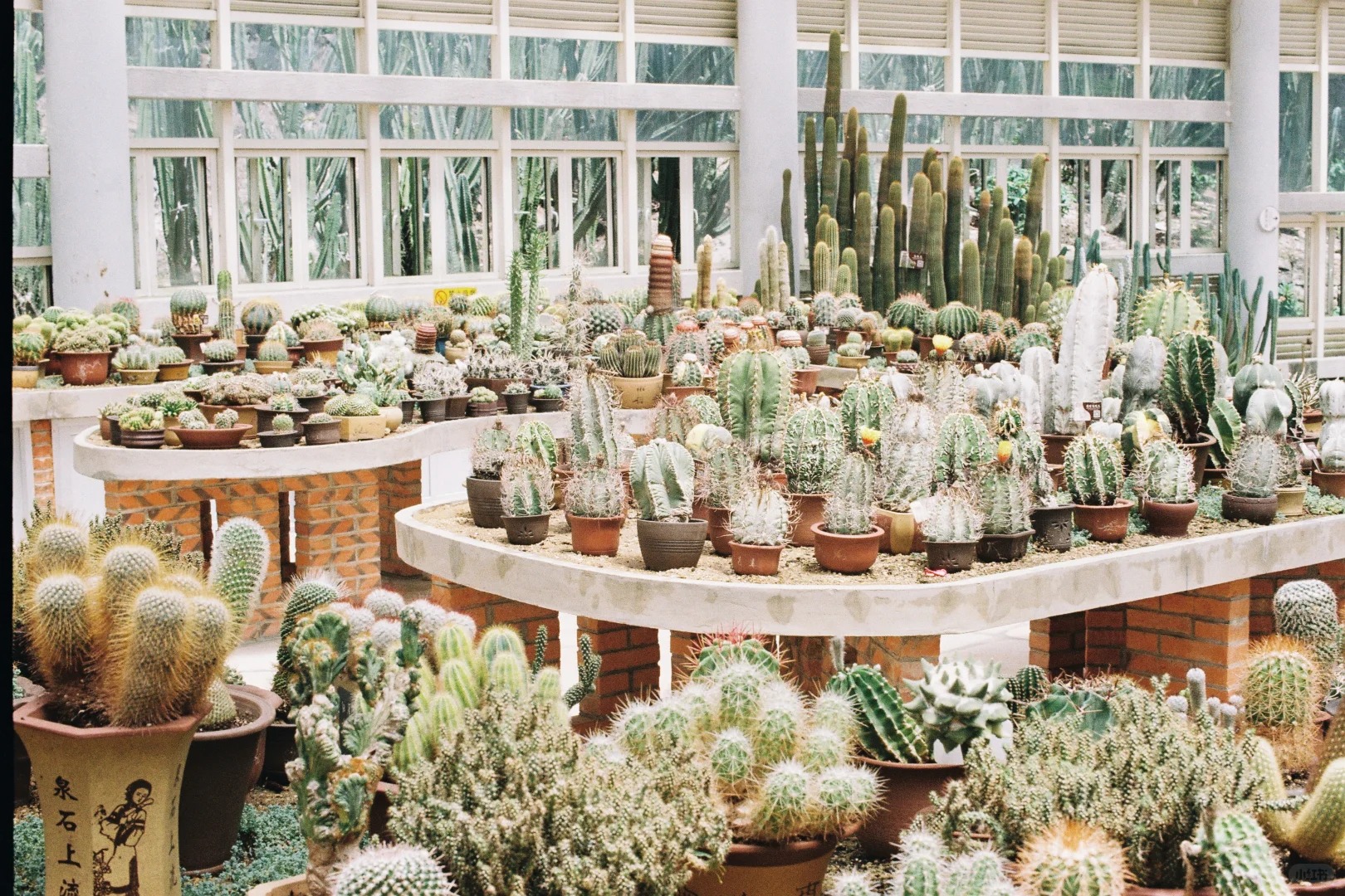 廈門植物園