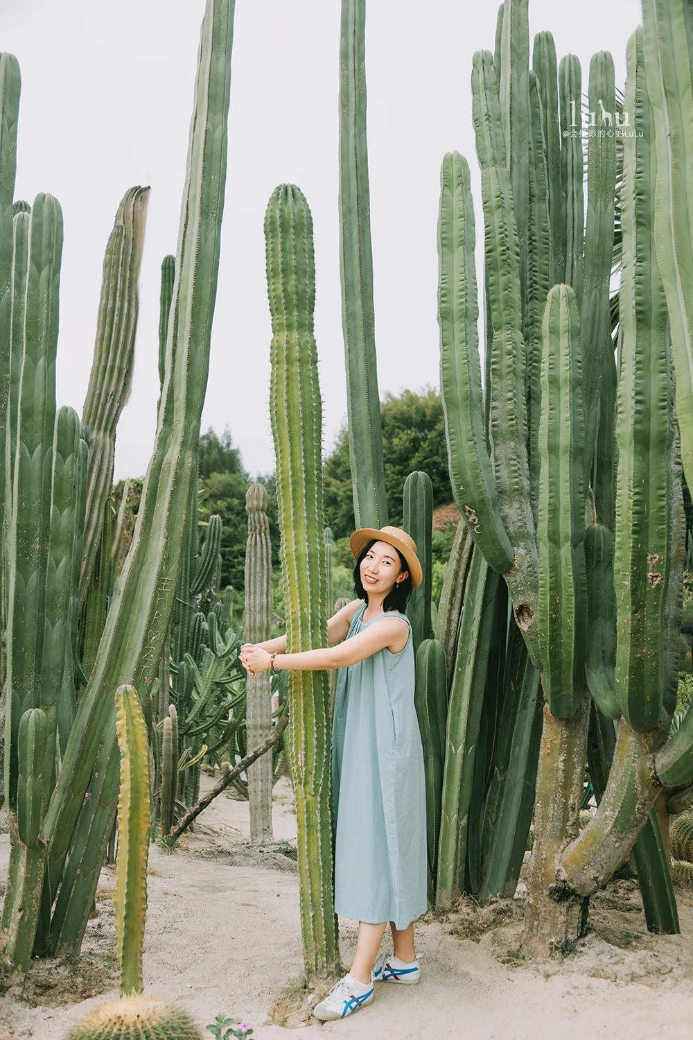 廈門植物園